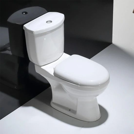  Twyford WC Button Flush_0
