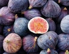 Fig _0