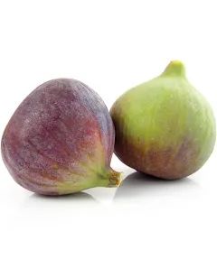 Fig _2