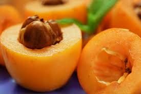 Loquat fruit _0