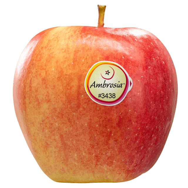 Ambrosia Apples _0