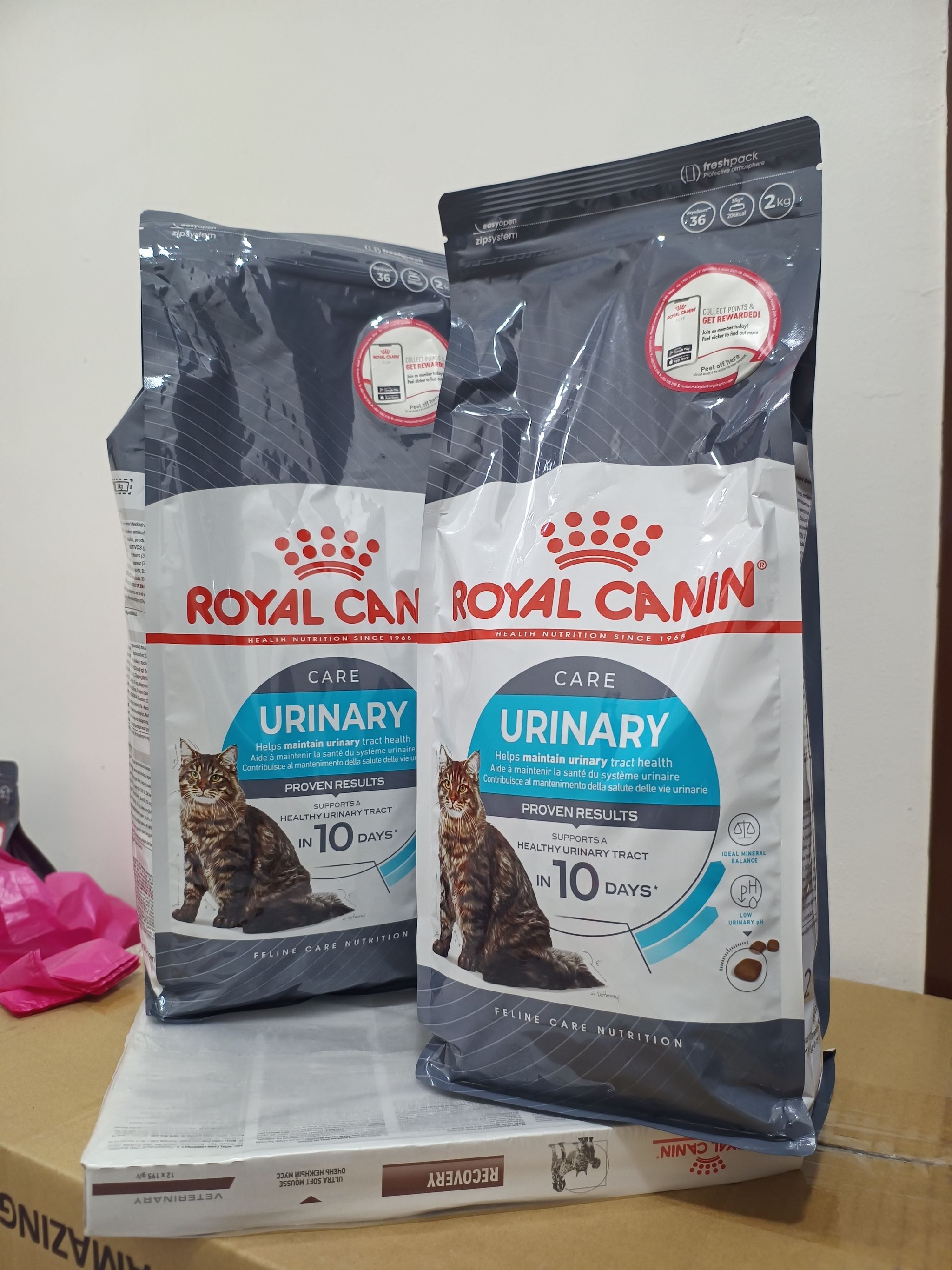 Royal Canin (Original Pack) - #2_3