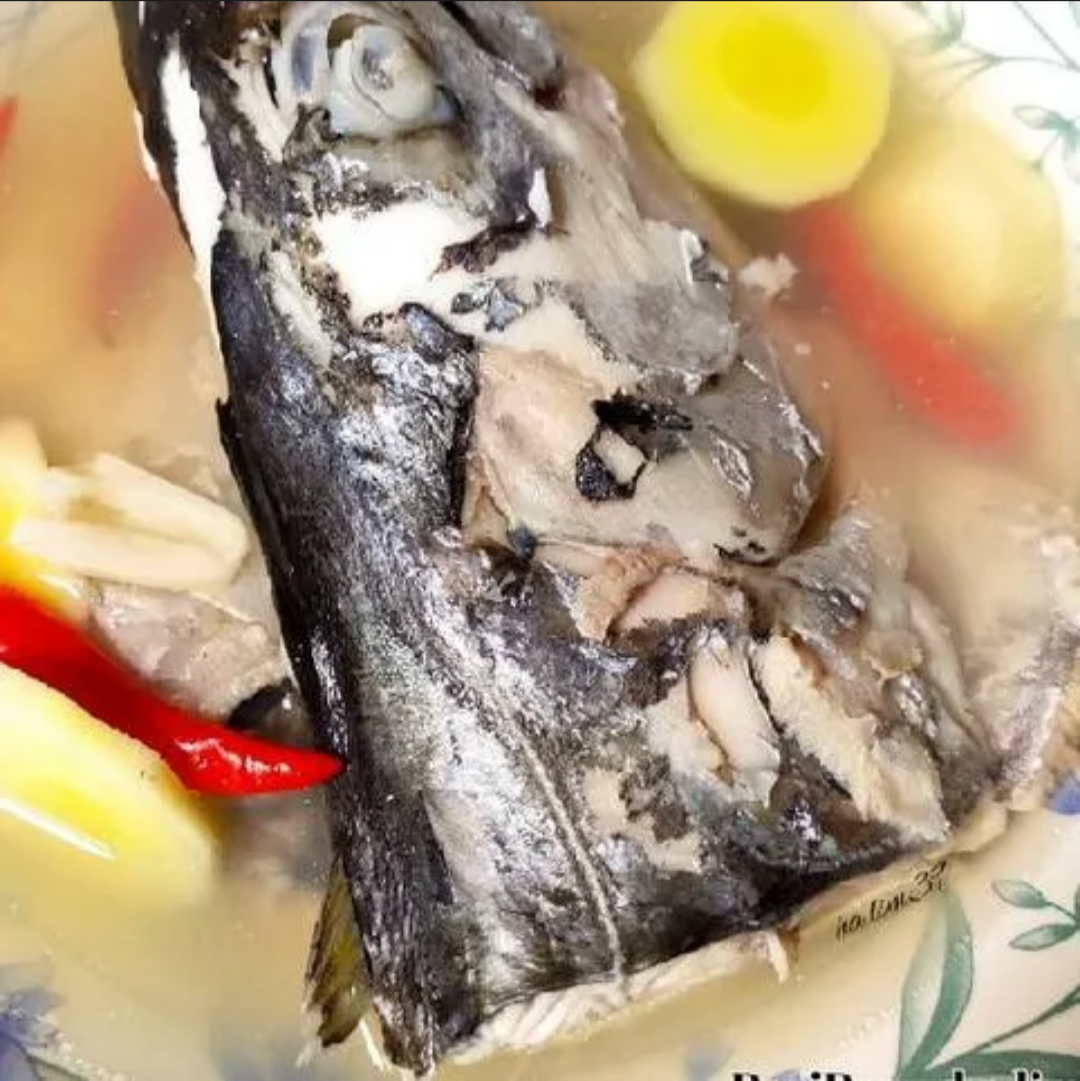 Tenggiri (Spanish Mackerel)_1