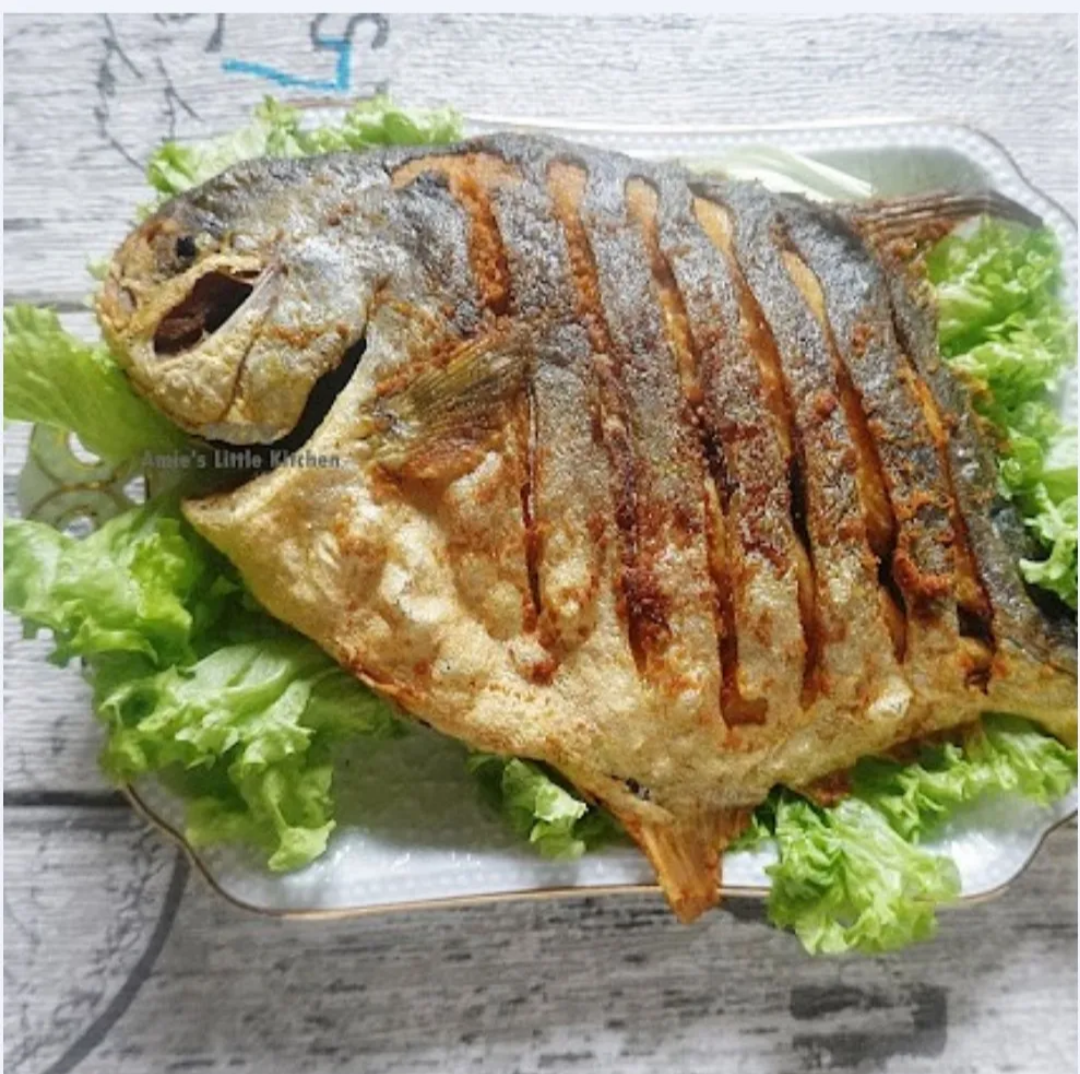 Bawal Emas (Golden Pomfret)_1