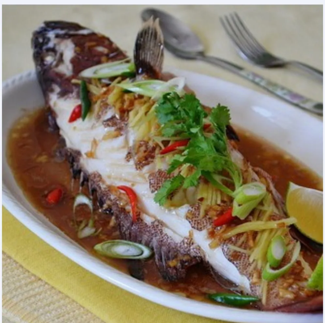 Ikan Kerapu (Grouper)_1