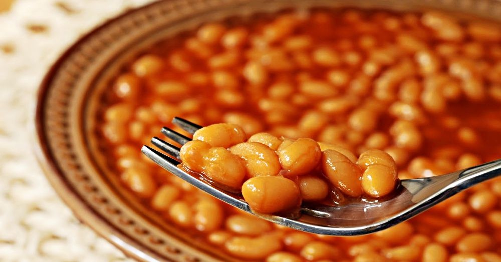 Plain Beans_0