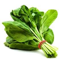 Spinach _0