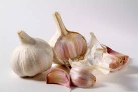 Garlic _0