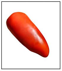 Tomato Long_0