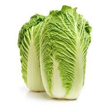 Chinese cabbage _0