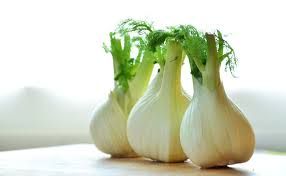 Fennel Bulbs_0