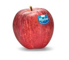 Marlene Red Apple_0