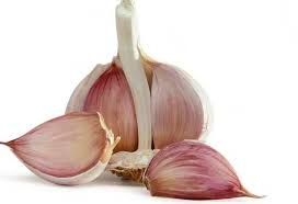 Garlic (local)_0