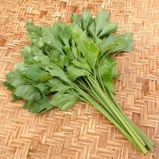 Celery leaves _0