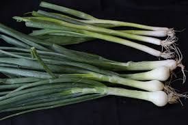 Spring onions _0