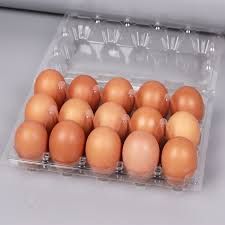 Eggs 15pcs_0