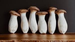 King Oysters (Trumpets) Available in 3 weeks_0