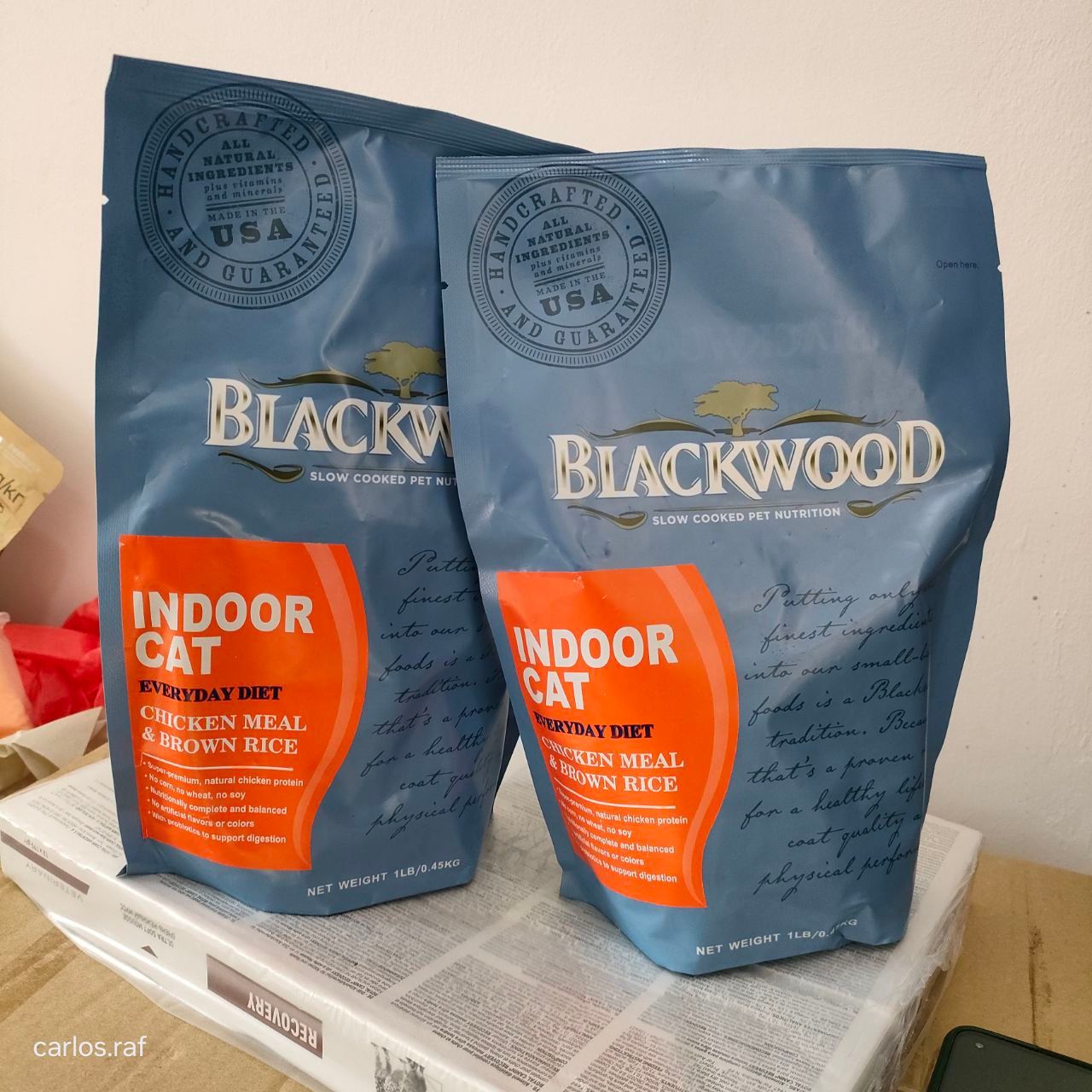 USA Blackwood - Kitten/Adult/Original/Indoor_4