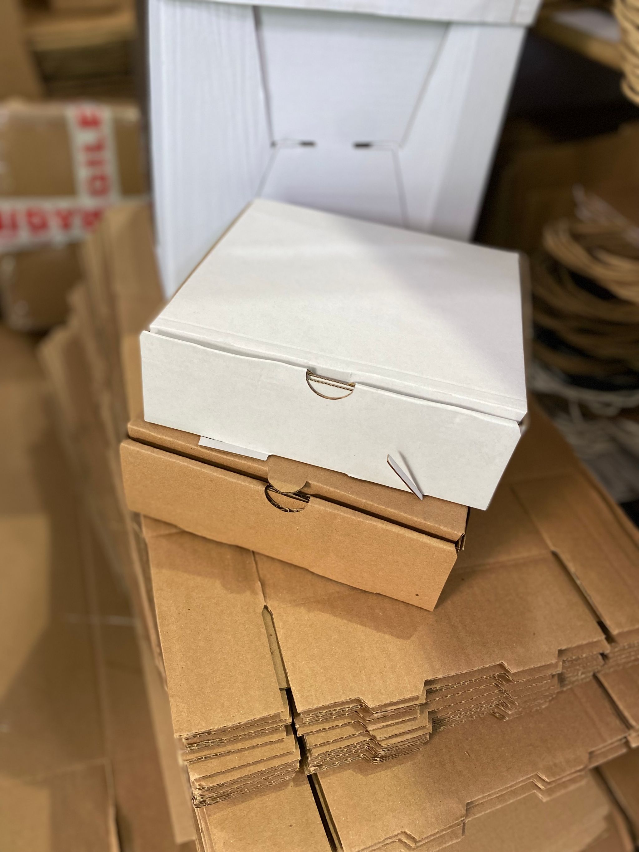 CATERING PLATTER BOXES - 8” x 8” x 3.5” / WHITE_4