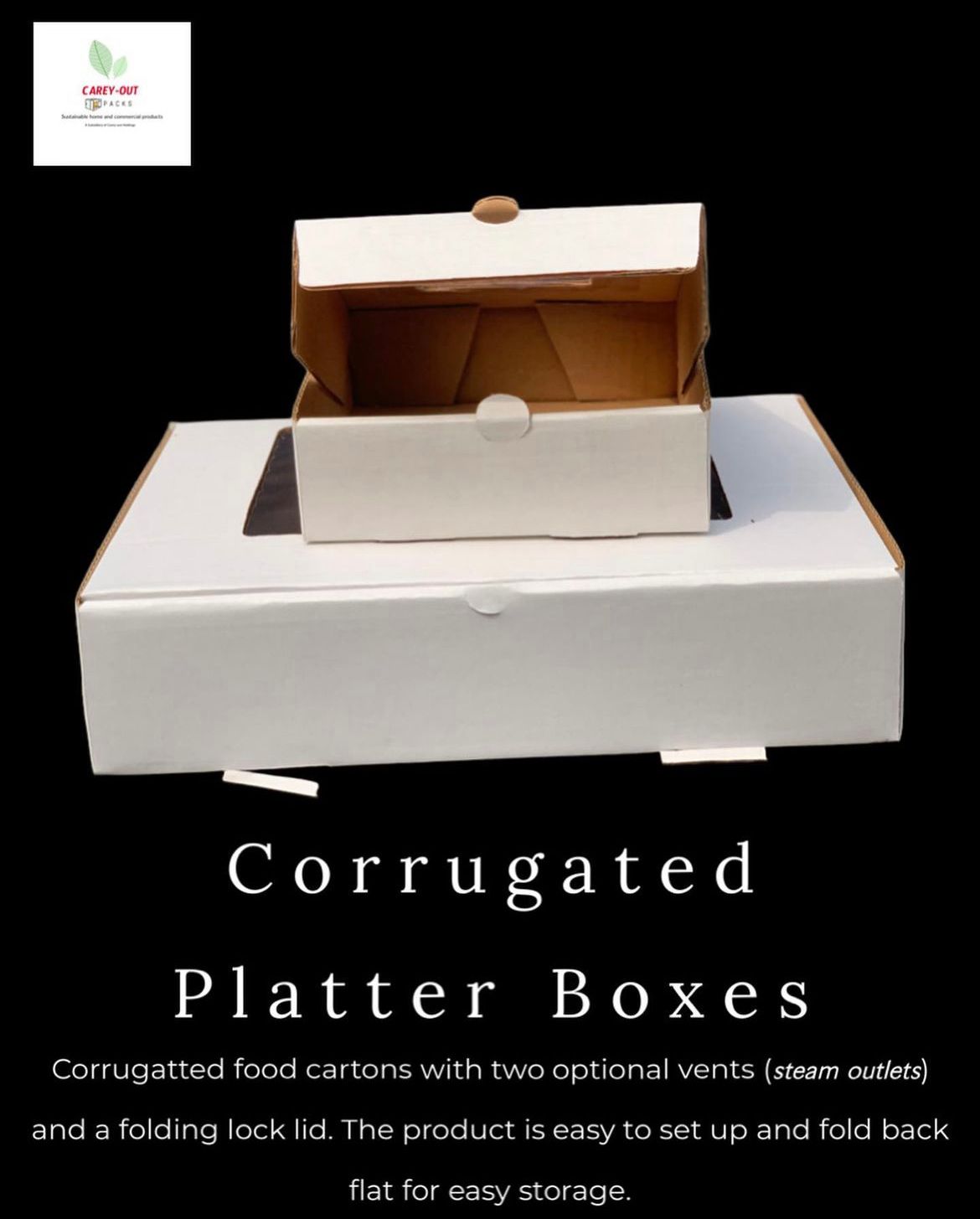 CATERING PLATTER BOXES - 15.5” x 11” x 4” / WHITE_2