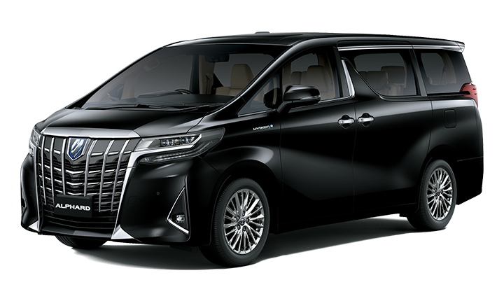 TOYOTA Vellfire/Alphard VIP 8hr Island Tour_1