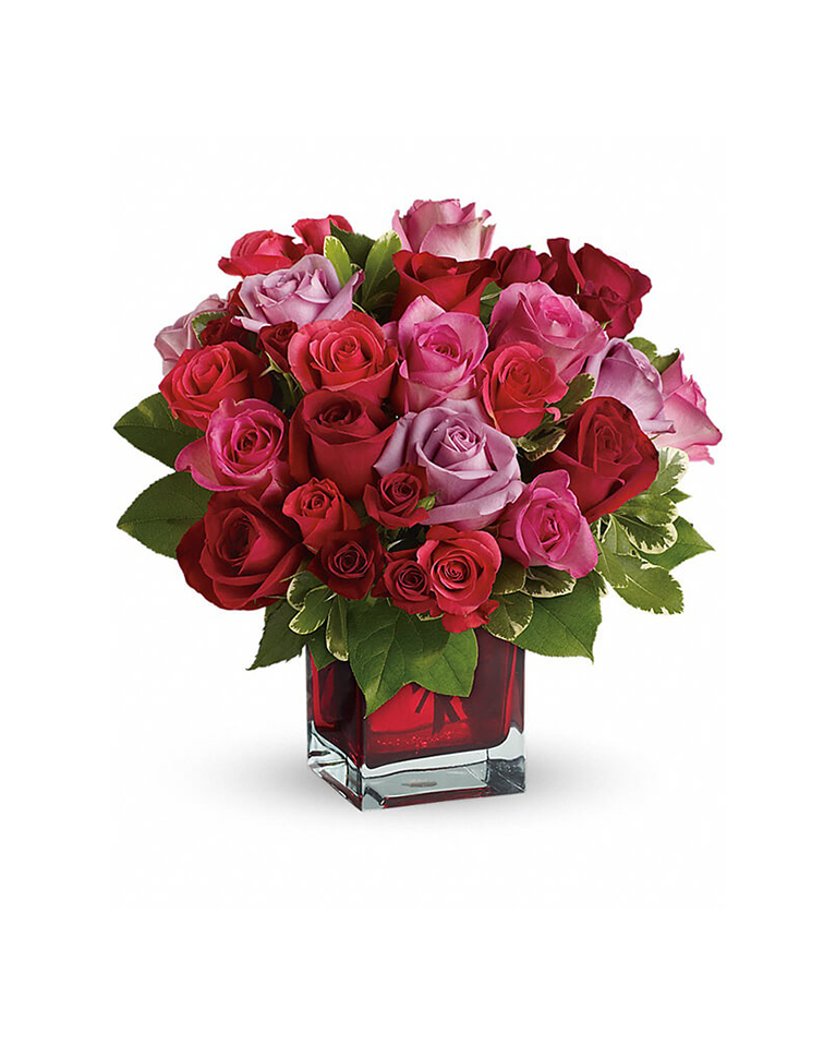 Ruby Rose Reflections_0