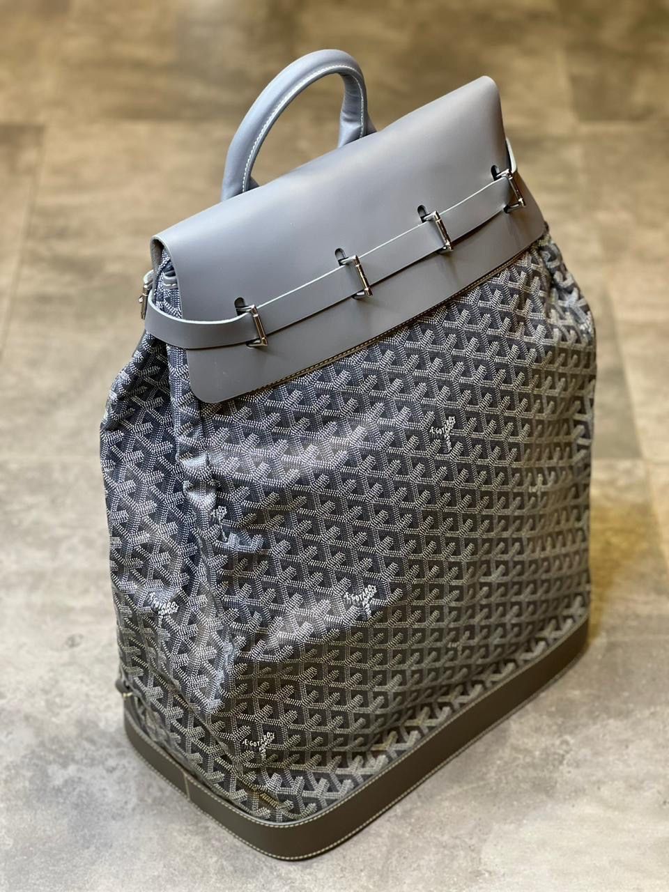 GOYARD  Alpin MM Backpack_2