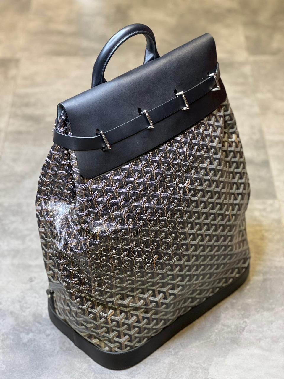 GOYARD  Alpin MM Backpack_1