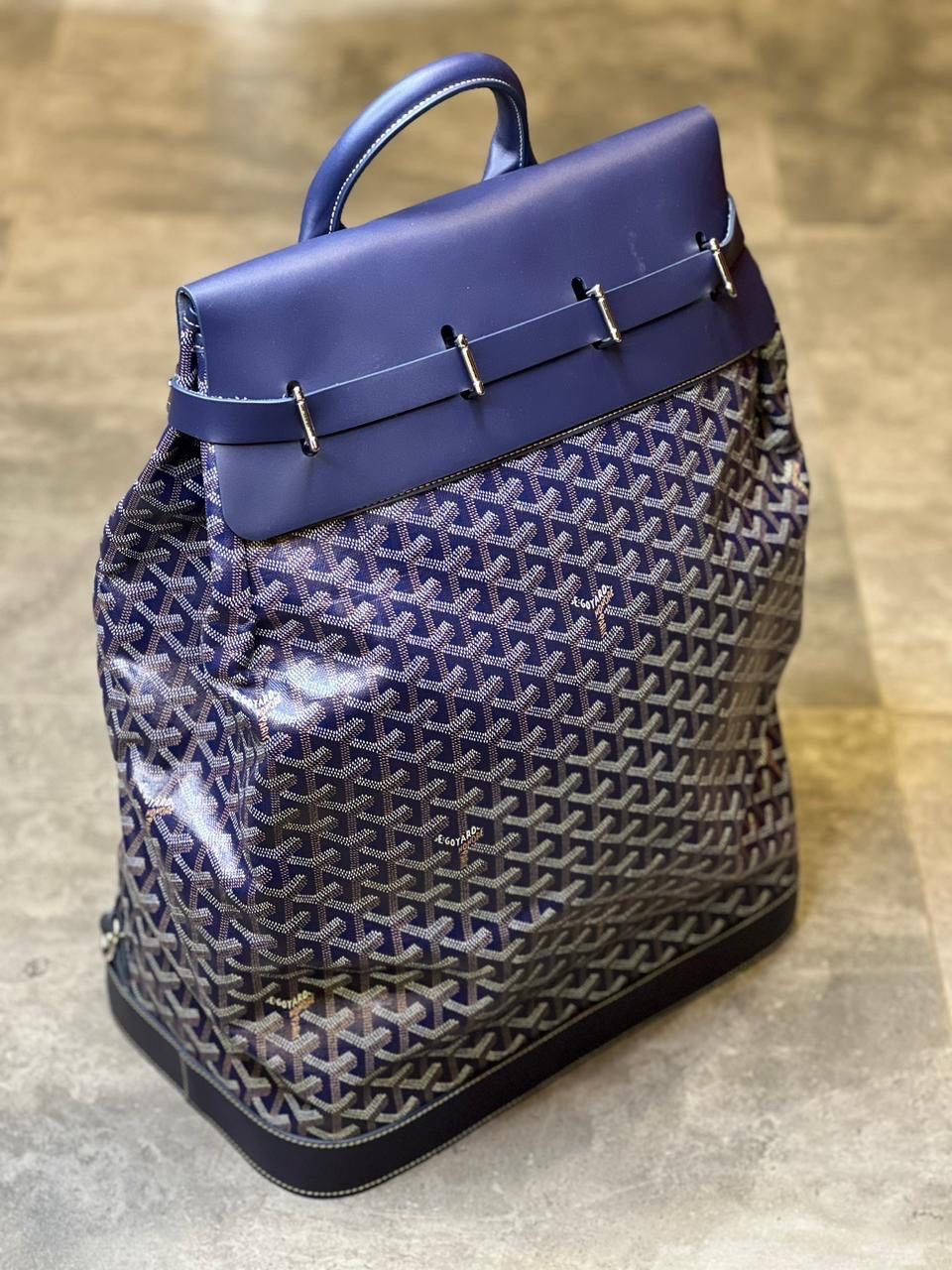 GOYARD  Alpin MM Backpack_1