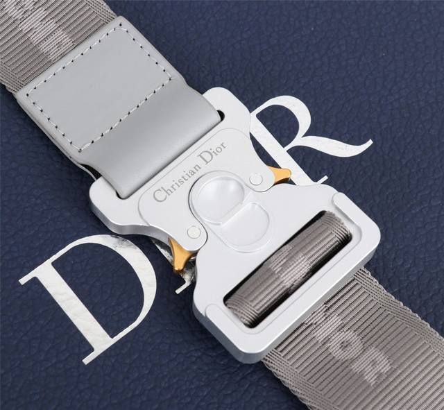 DIOR CD Saddle_2