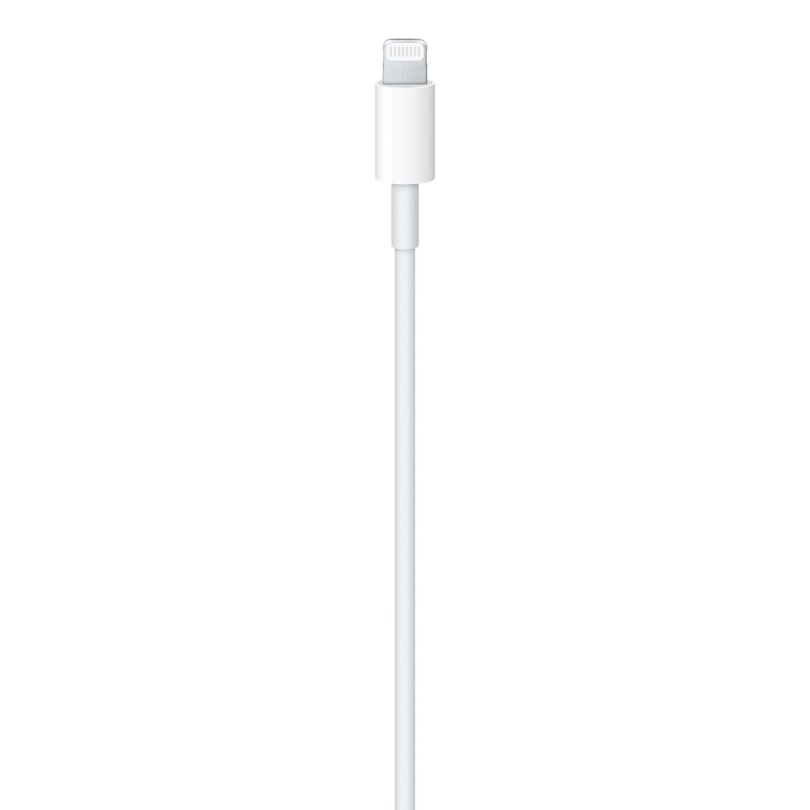 Apple USB-C to Lightning Cable (1 m) _1