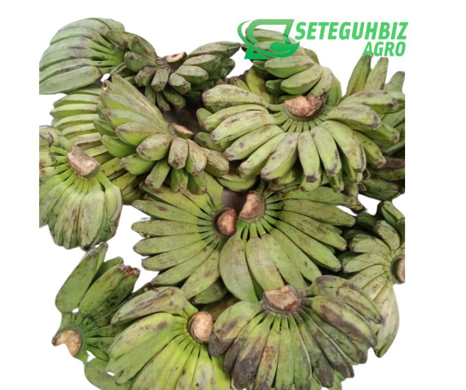 Pisang Abu Indon (Sisir)_0