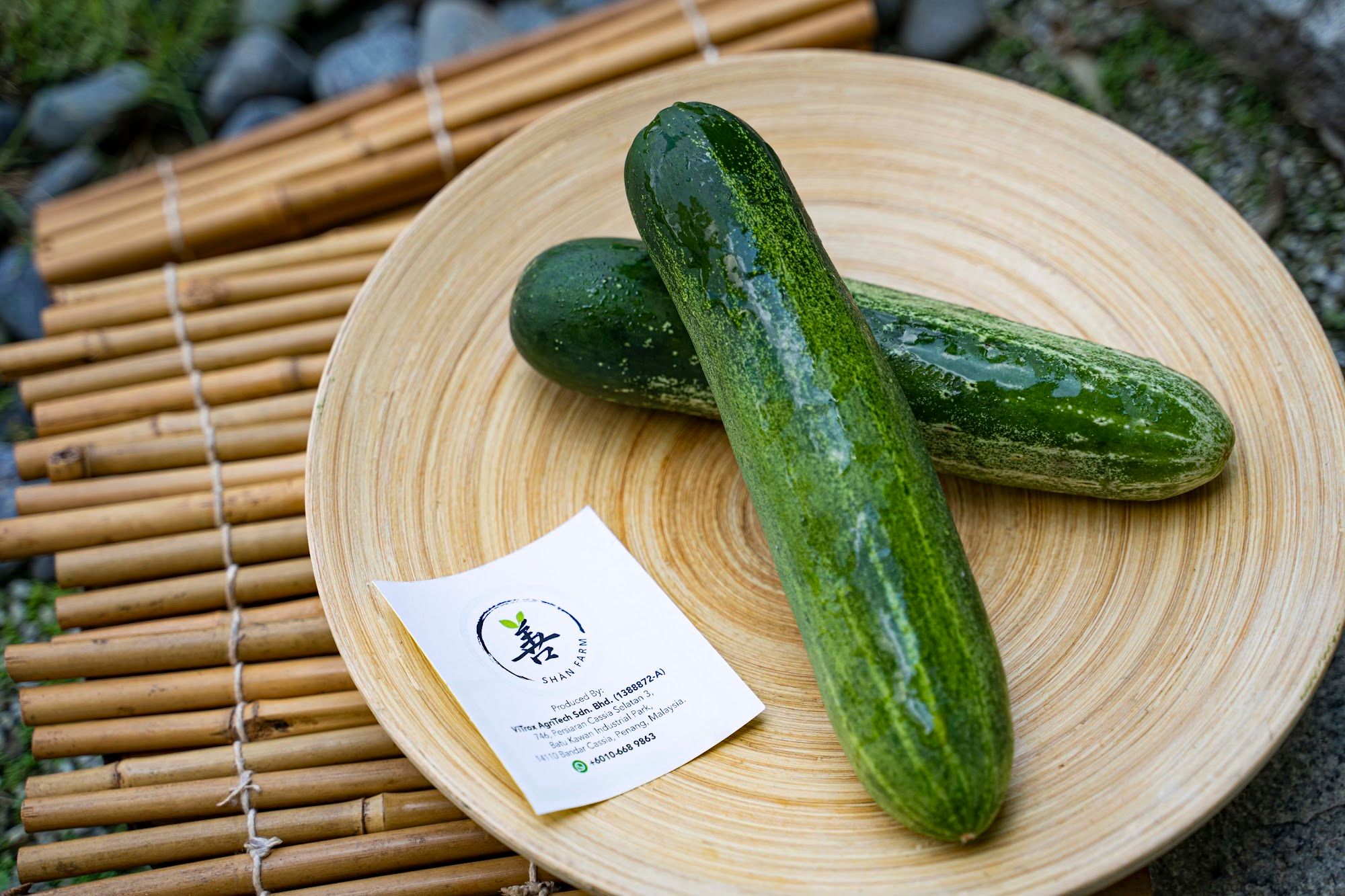 Cucumber (per pcs)_0