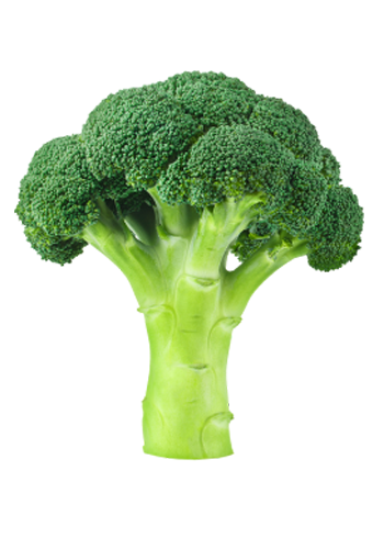 Brocolli_0