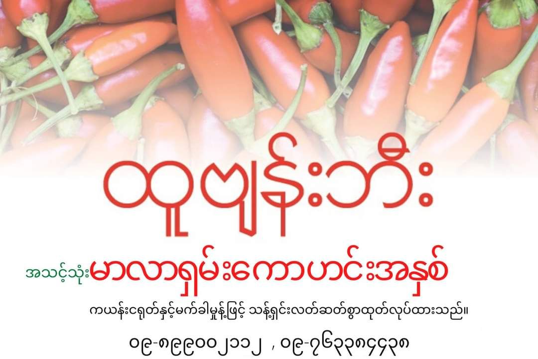 ထူဗျန်းဘီး_မာလရှမ်းကော_2