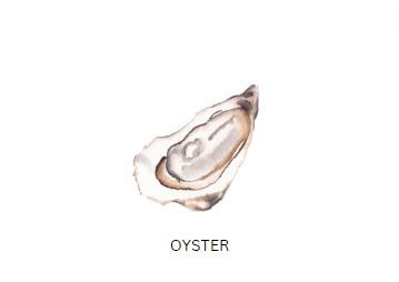 Teppanyaki Oyster (not set) 铁板 鲜蚵 豪_0