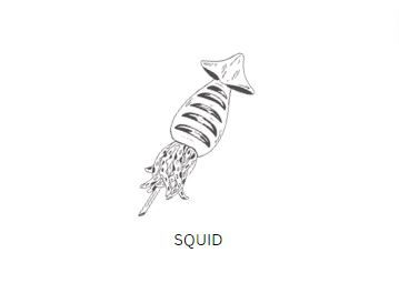 Teppanyaki Squid (not set ) 铁板 苏东_0