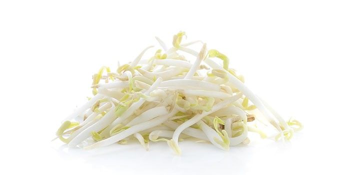 Beansprout 铁板烧豆芽_2