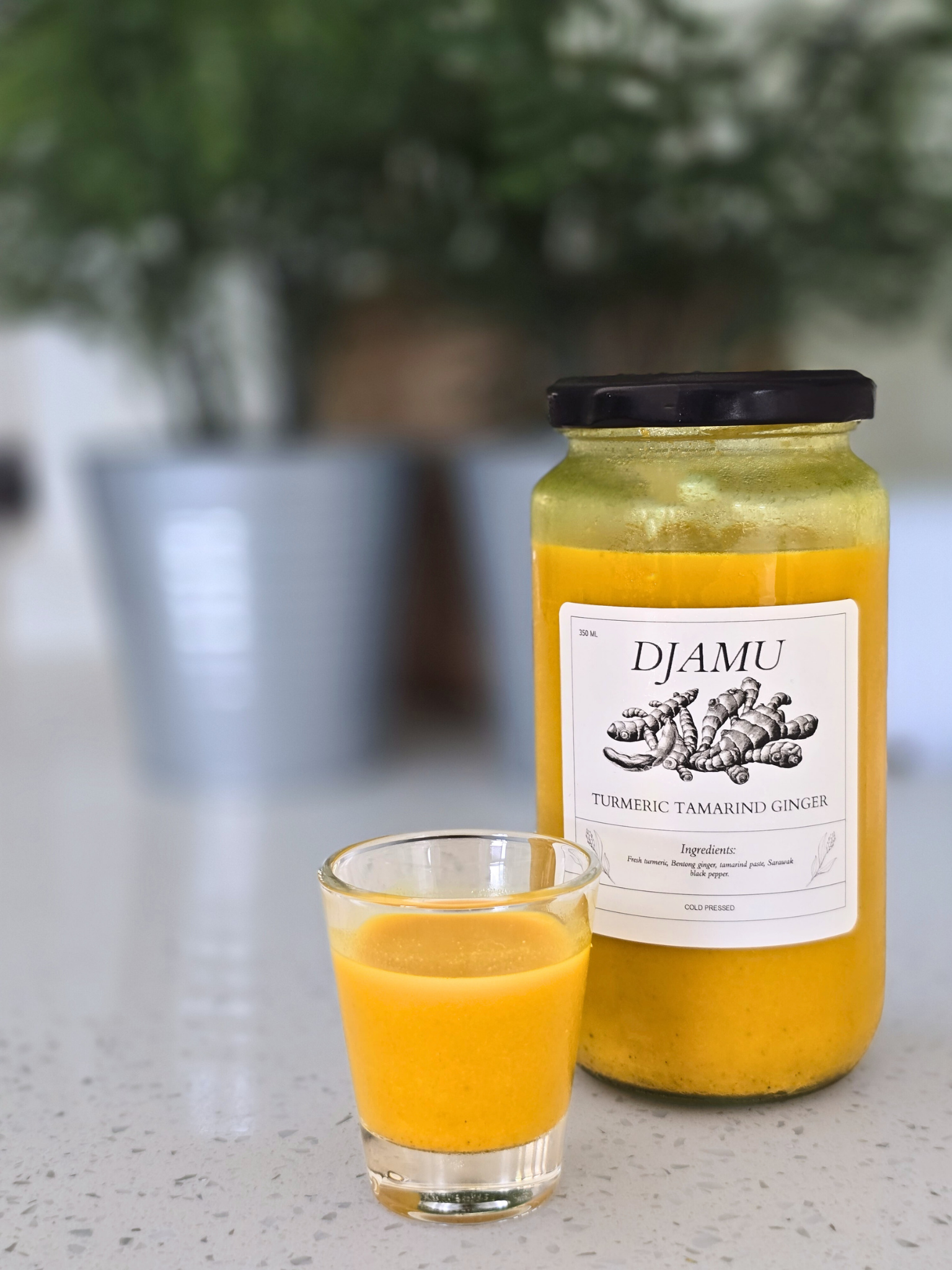 Djamu Tonic _0