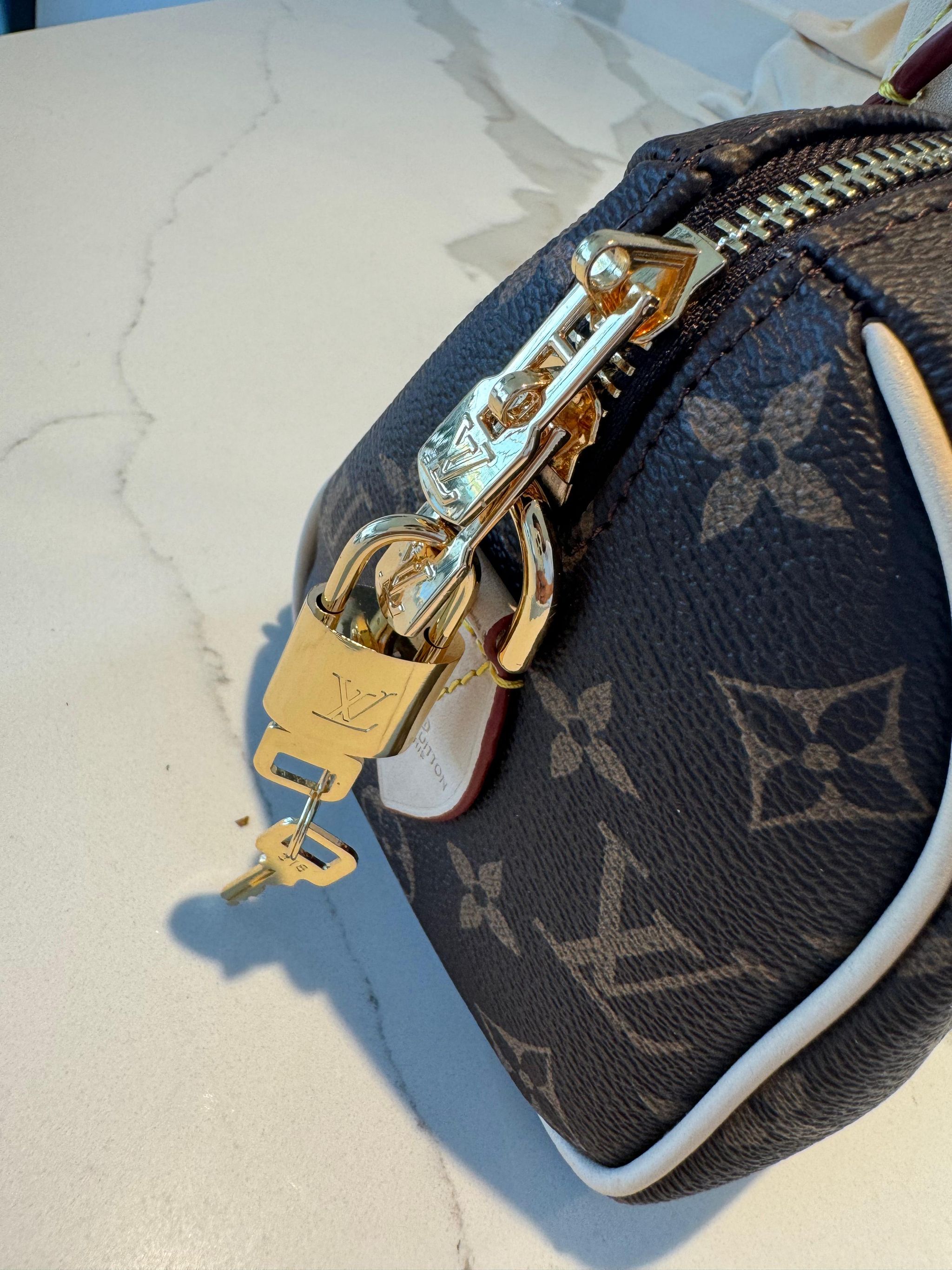 LOUIS VUITTON Speedy 30_1