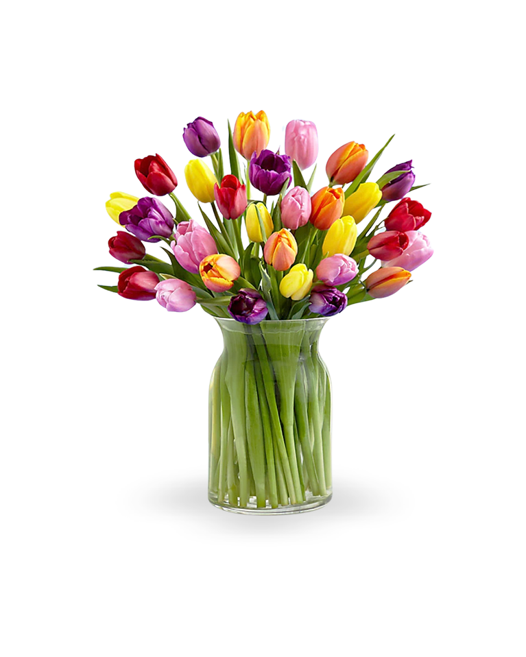 Tulip Rainbow Cascade_0