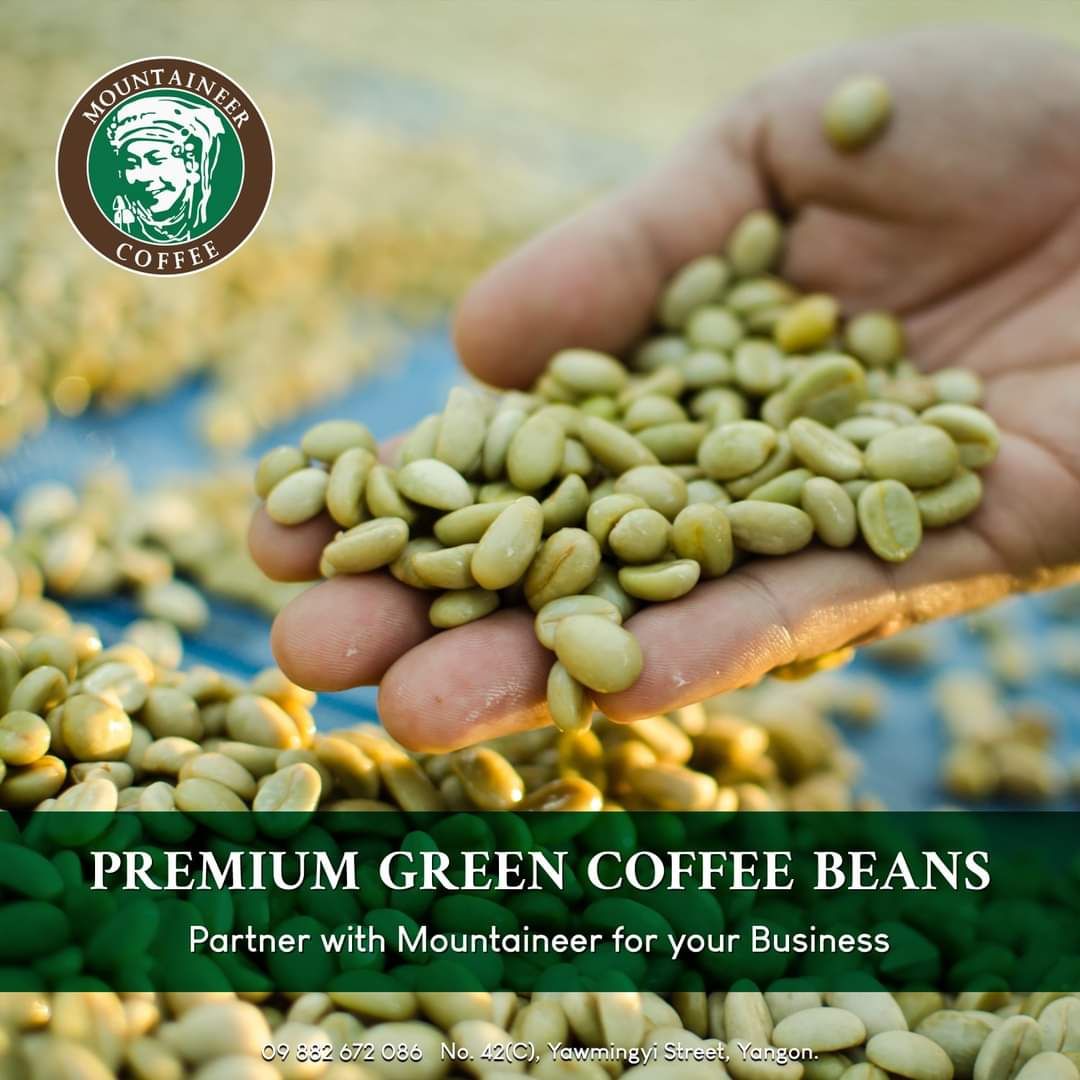Mountaineer_Green (Raw) Coffee Bean_2