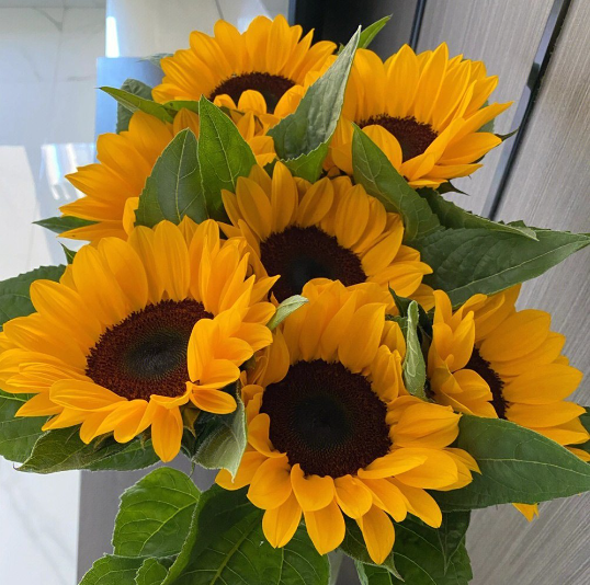 Fresh Cut Flowers Sunflowers_0