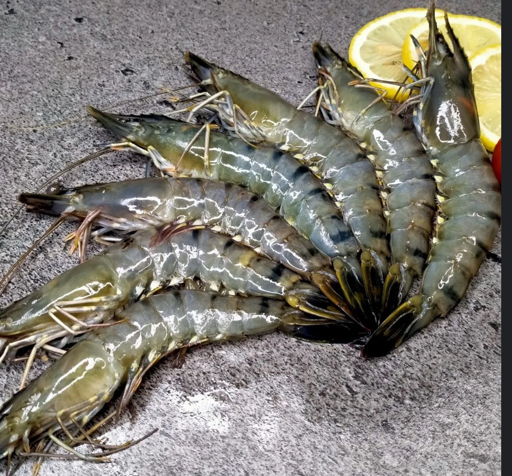 Tiger Prawns 🇹🇭_0