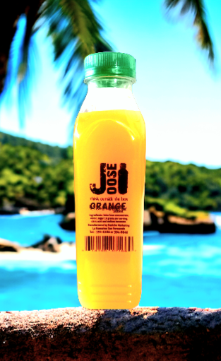 Joose Orange 500ml 6pk _0