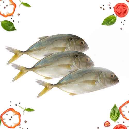 TREVALLY FISH (PAARAI MEEN) - CLEANED (700G TO 800G)_0