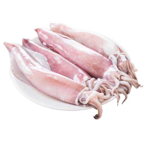 SQUID (KANAVAI FISH) - CLEANED (700G TO 800G)_0