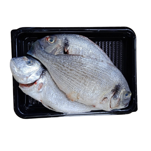 INDIAN SEABASS - CLEANED 750G TO 850G_0