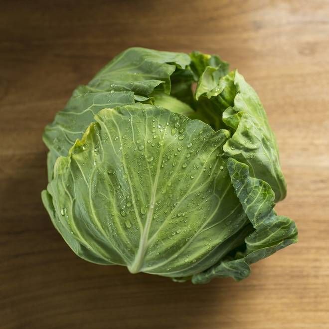 cabbage_0