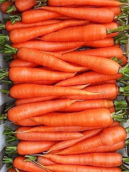 carrots_0